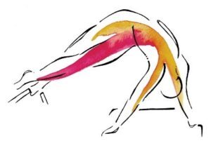 Pilates Logo 300x211 1